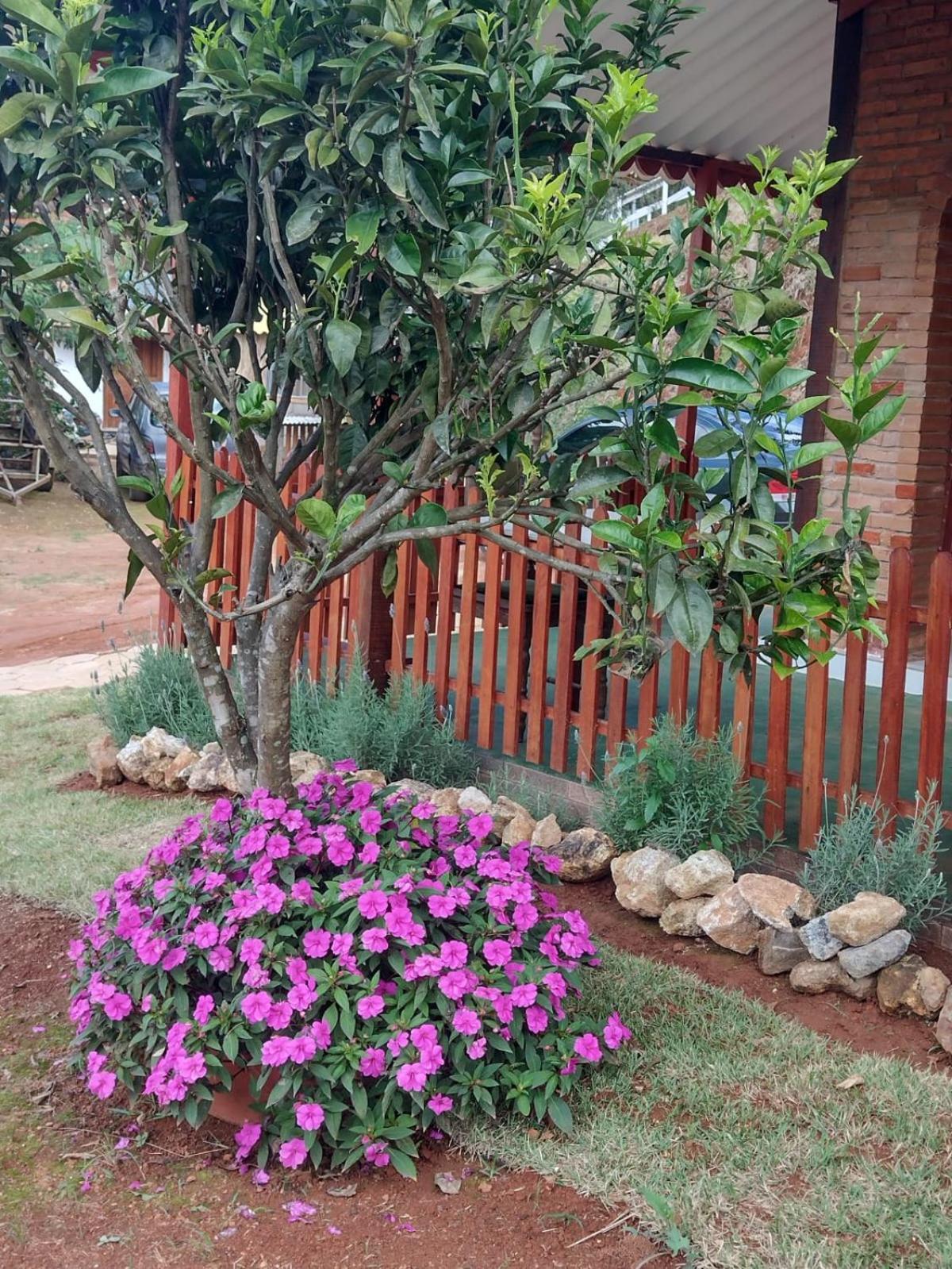Rancho Flores * Espera Feliz