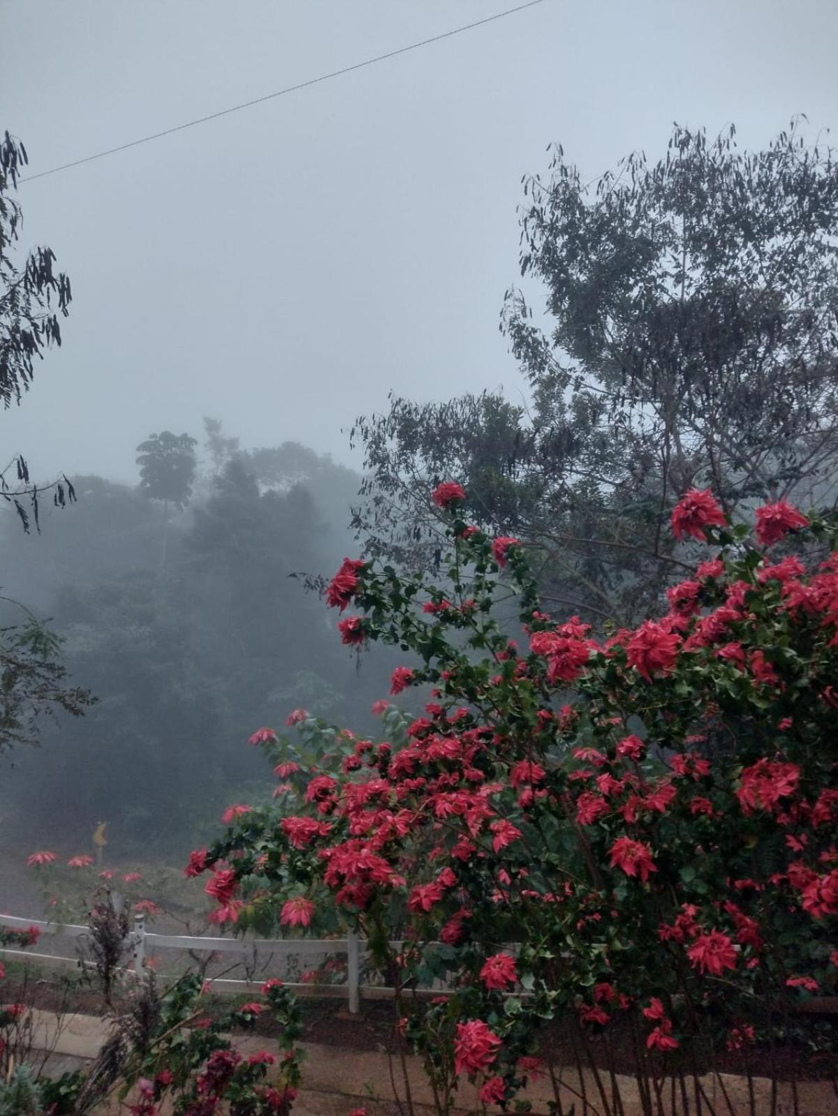 Rancho Flores 賓館 Espera Feliz